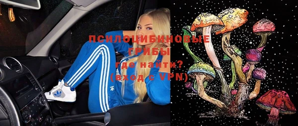 ешки Белоозёрский
